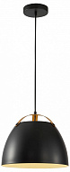 Подвесной светильник Lightstar Loft 765047 500_191_2460176